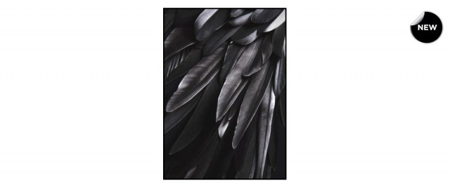 Black wing διακοσμητικός πίνακας